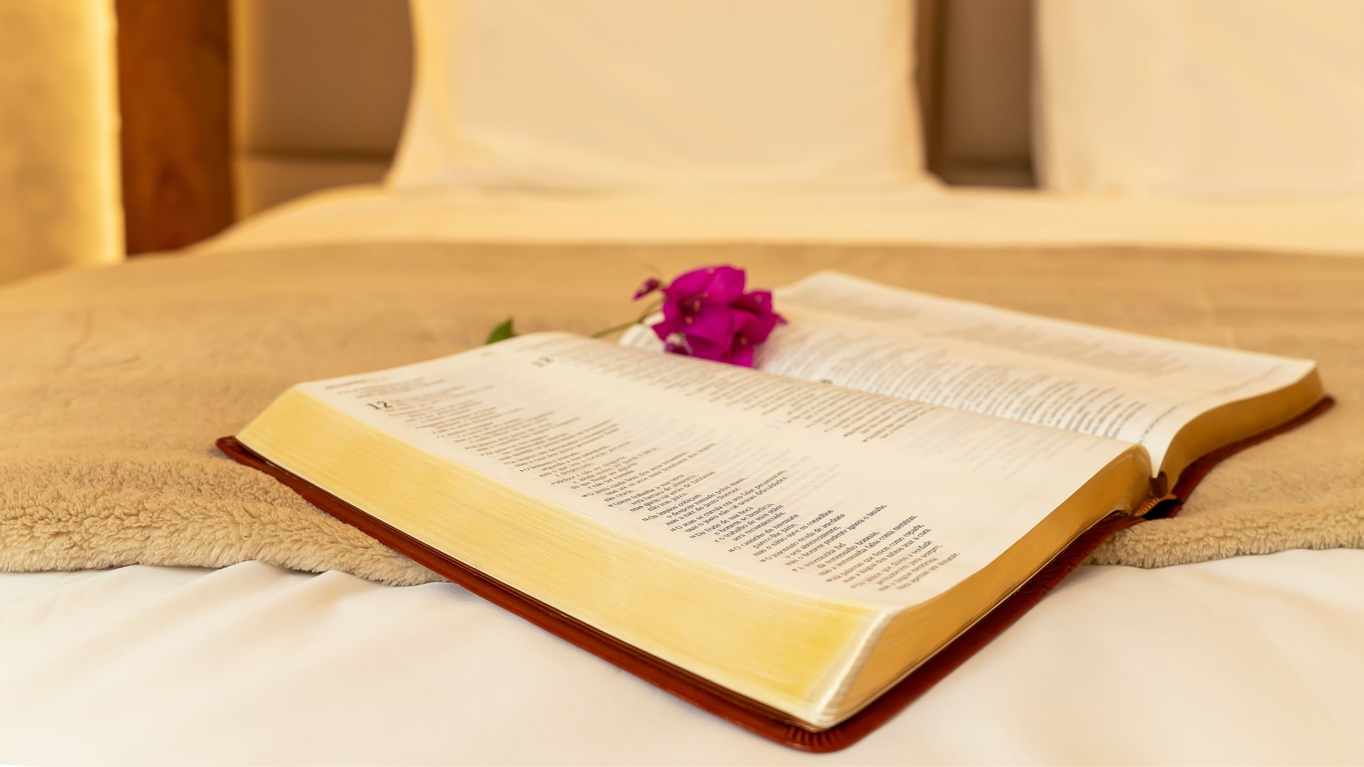 suite-premium-quarto (27)